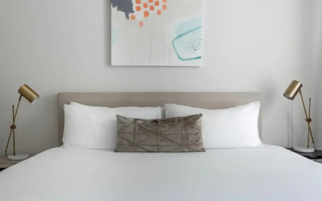 Dallas Executive 1BD 1BA Apartment