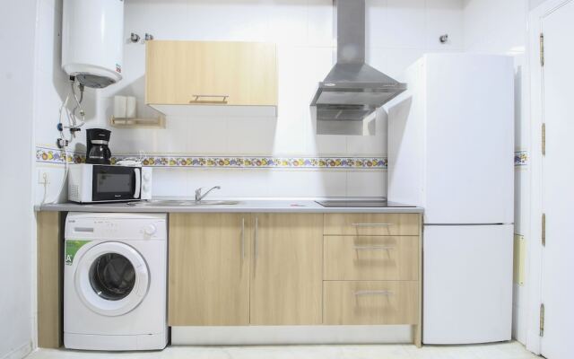 Deluxe Apartment Castilla