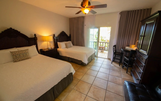 The Lazy Parrot Inn