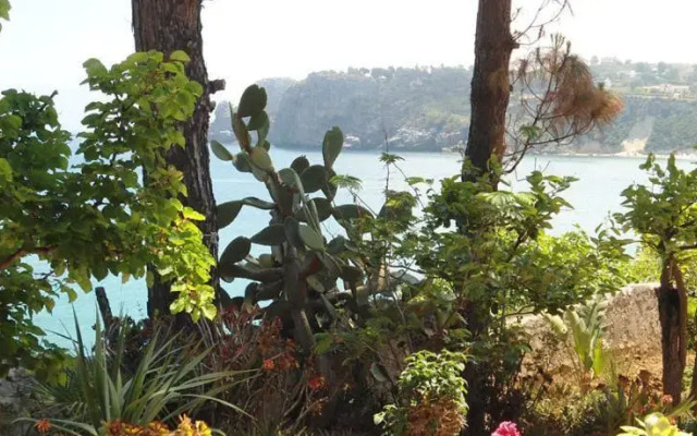 Villa Guidaloca on the beach