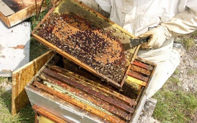 gîtes à la ferme dela le var