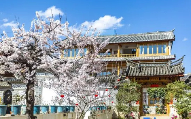 A-Jun And His Friends Entry Luxury Sunshine Garden Courtyard