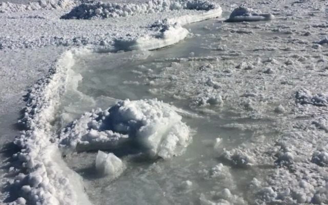 Ferienwohnungen Rügen