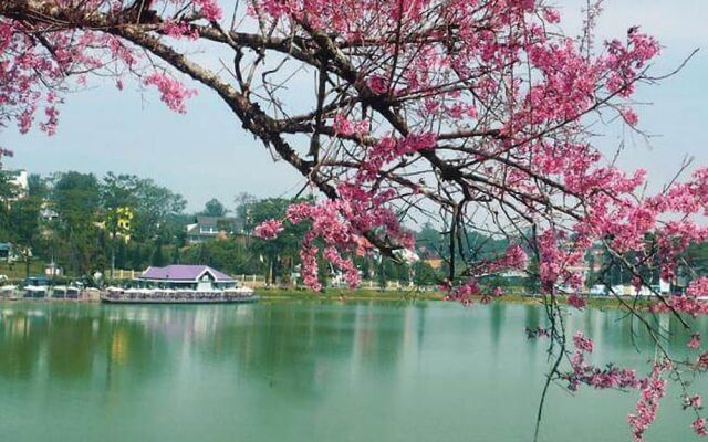 Lien Son Hotel Da Lat