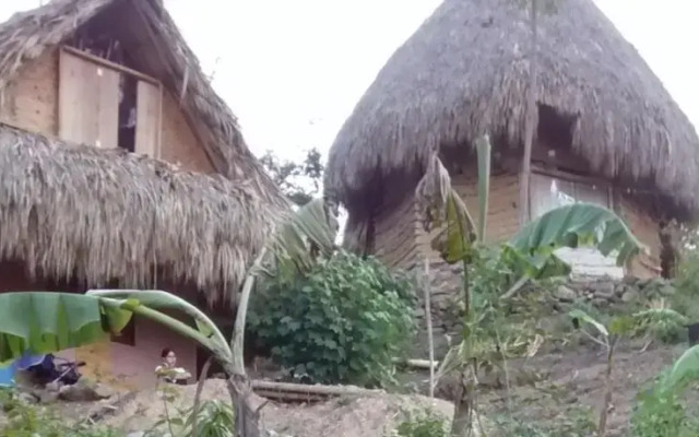 Zamukia