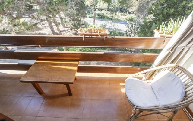 Bosc y Sol - Formentera Libre