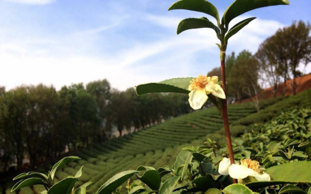 Wang Put Tan Boutique Hotel