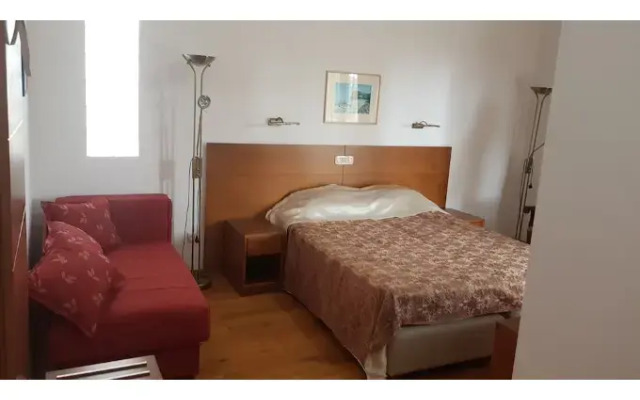 Hotel Paun