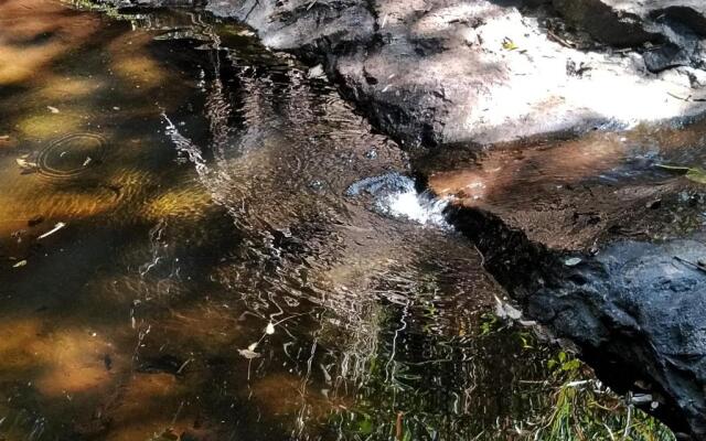 Café Com Arte Pousada Ecológica