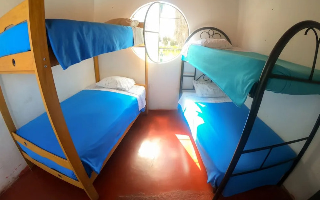 Hostel Mr. Llama