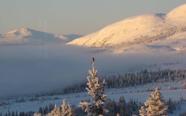 Buustamons Fjällgård