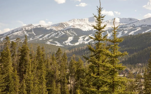 Barney Ford 2 - Zendo