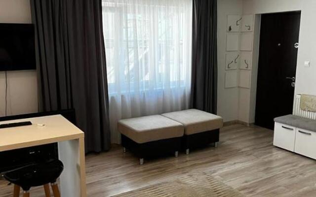 Apartament 3 Central