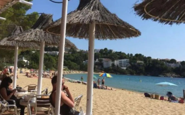 Jardins 2 Bjs 27 Roses - Barneda