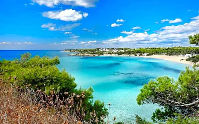 Alto Salento B&B