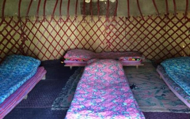 Turkestan Yurt Camp