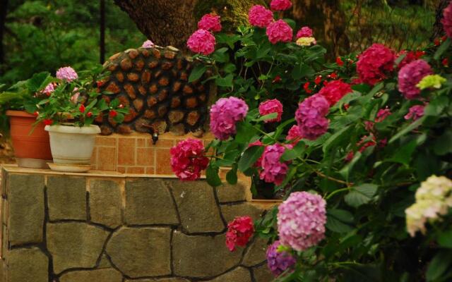 Tasoula Parselia Studios