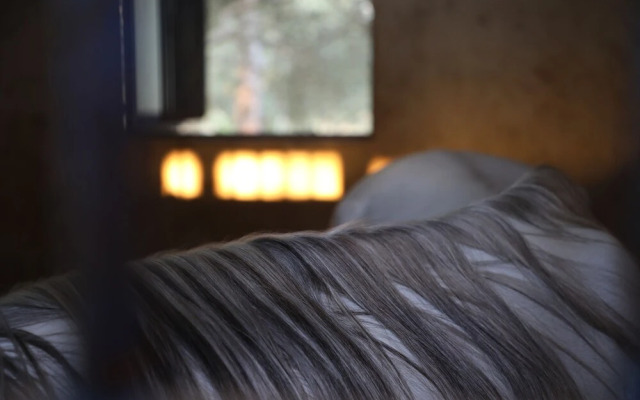 The Ranch - Lodge & Equestrian Center