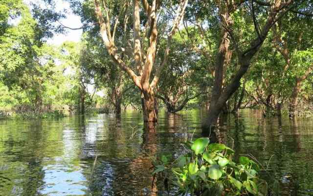 Phocea Cruise Phnom Penh to Siem Reap