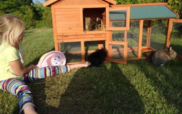 Country House Near Baltic Sea Beach