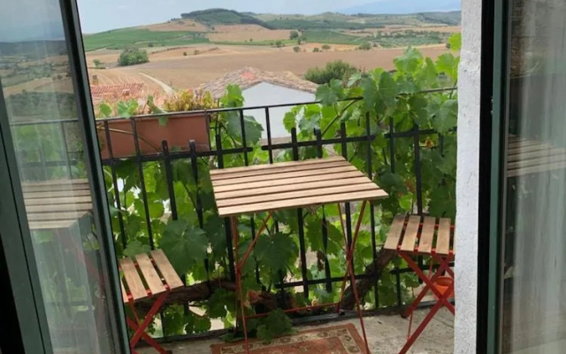 El Olivo de Sansol