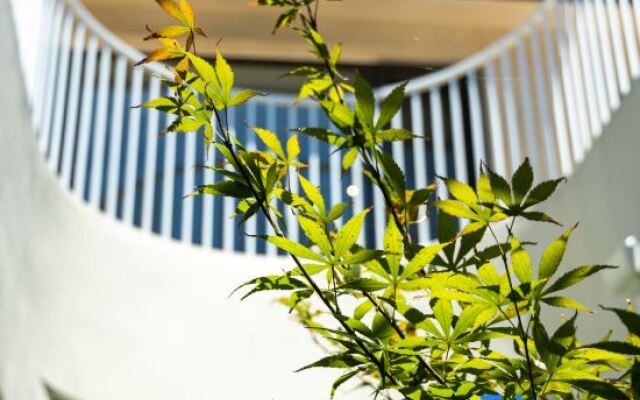 A touch of sunshine Inn