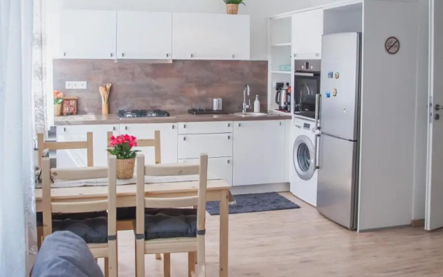 Downtown Pedestrian Zone Apartment