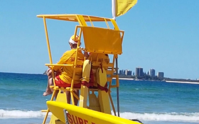Verve on Cotton Tree