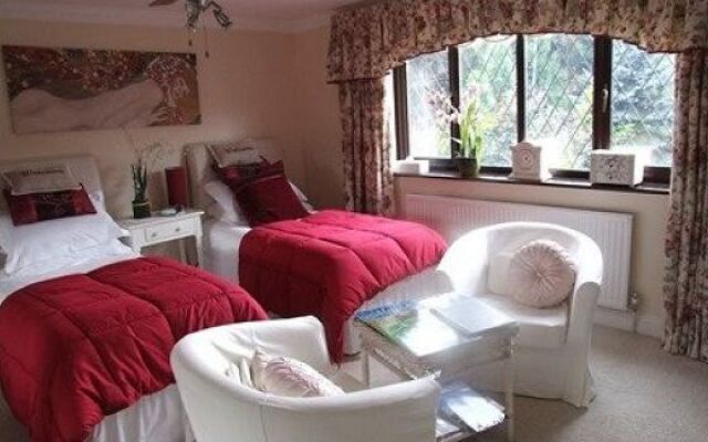 Beechwood B&B