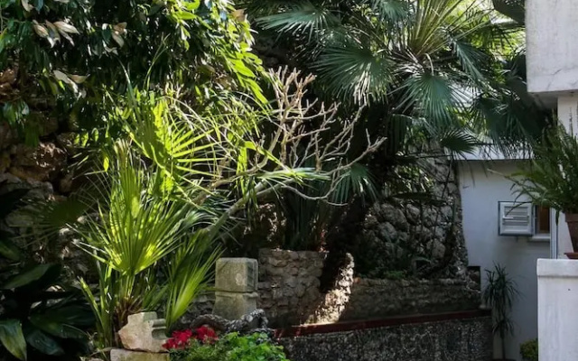 Plavi Zal