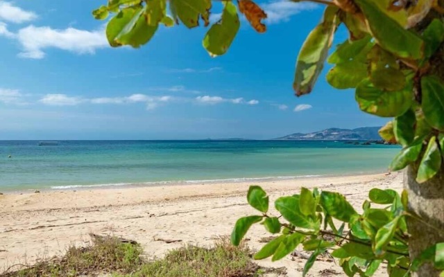 Beach Resorts Hotel KALAKAUA