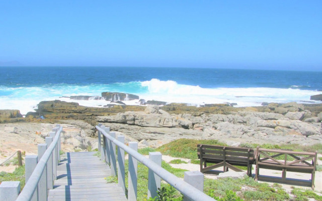 Hermanus Whale View