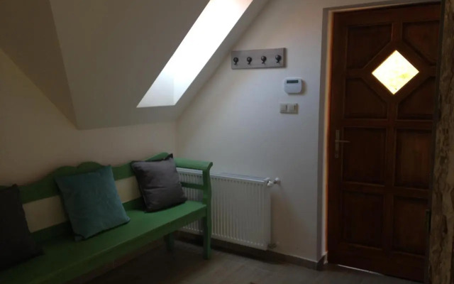 Premium "Vintage" Apartment
