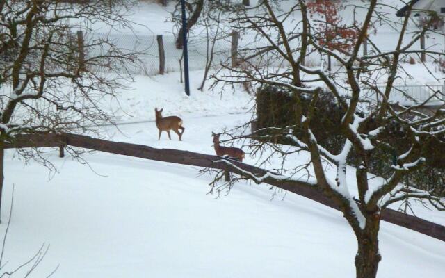 Serene Apartment near Ski Area in Hesborn