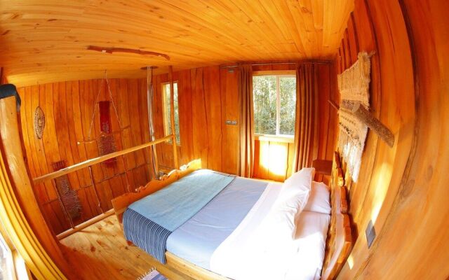 Cabanas Ensenada Bosque Nativo