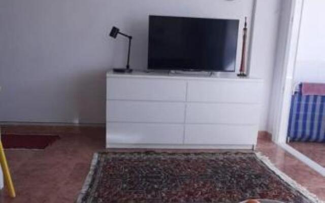 Teror 503