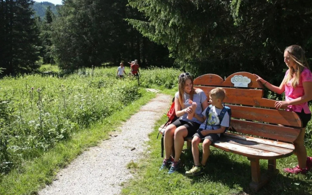 Apartment in Hohentauern With Sauna