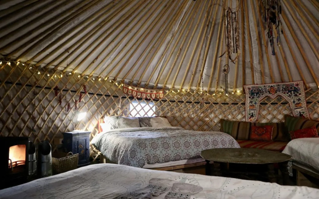 Hapus Yurt - Two Beautiful Yurts and Barn Cottage