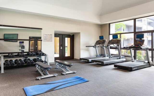 Courtyard St. Petersburg Clearwater