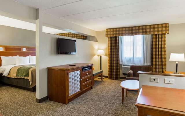 Comfort Inn Herndon - Reston