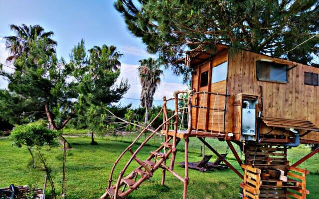 Ionian Treehouse Ecohosting Cuckoo's nest