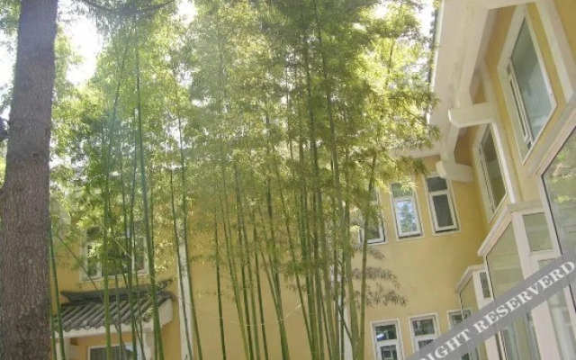 Zen Hotel