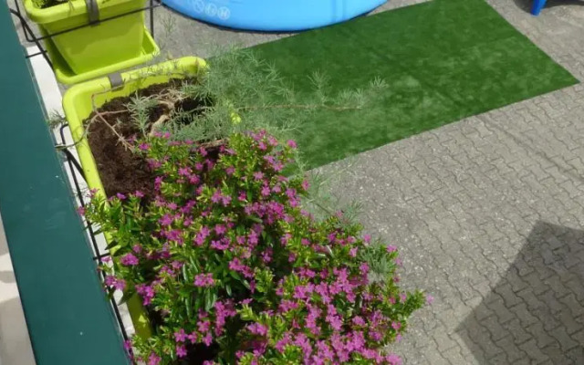 Obidos Wine & Surf Hostel