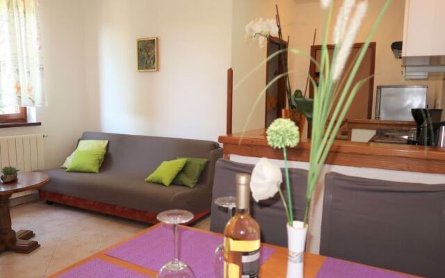 Mirjana (LBN312) 22664