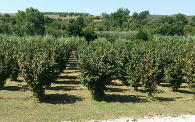 Suite le Scuderie a "le Moline" vita in fattoria
