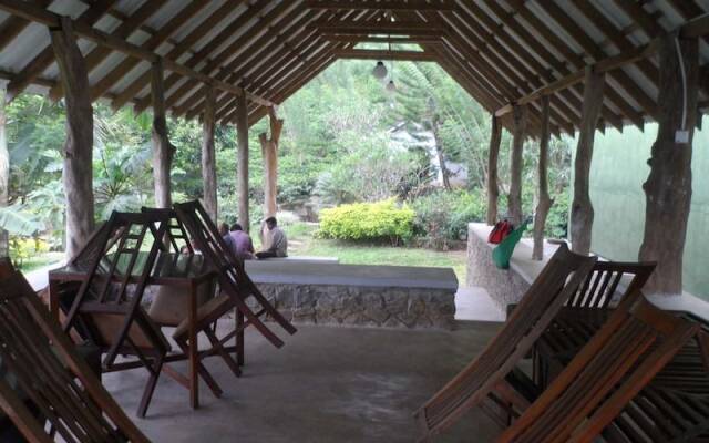 Yoho Rain Forest Eco Lodge