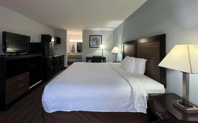 Suburban Studios Gainesville