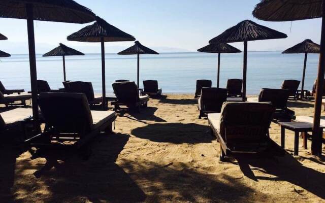 cactus beach paros
