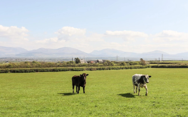 Mynydd Mwyn