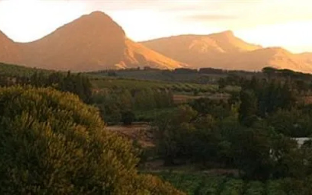 Druk-My-Niet Wine Estate